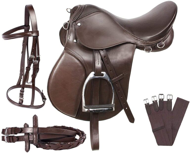 English Saddle: Complete Buying Guide for Riders