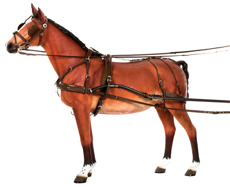 Best Harness Horse Equipment for Comfort and Performance